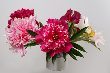 Bouquet of multi-colored peonies on an isolated on a gray background.