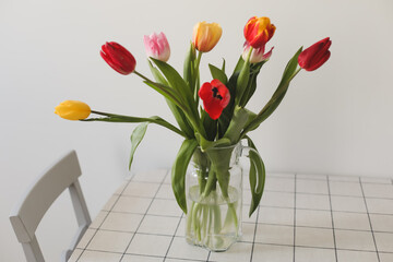Colorful fresh tulips on a white background. Valentines Day, March 8, spring background