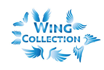 Fototapeta na wymiar Wing Collection Graphic