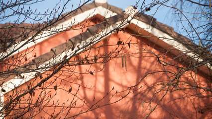 Sombras de ramas desnudas en tejado de casa rural una tarde de invierno