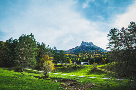 Ruta por la selva de Oza y el valle de Zuriza. La recogida de setas es habitual aqu&iacute;, as&iacute; como encontrarse con caballos salvajes o vacas que andan libres con el buen tiempo por los Pirineos.