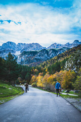 Ruta por la selva de Oza y el valle de Zuriza. La recogida de setas es habitual aquí, así como encontrarse con caballos salvajes o vacas que andan libres con el buen tiempo por los Pirineos.