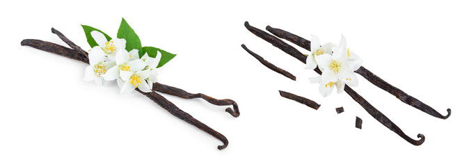 Vanilla sticks with flower and leaf isolated on white background