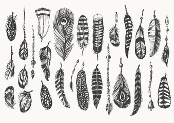 Hand drawn sketch of bird feathers and beads