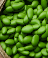 3d rendering illustration of fava beans, generative ai