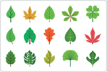 Obraz premium Set of different type of leaf leaves in colors vector