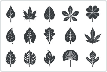Set of different type of leaf leaves in grayscale vector