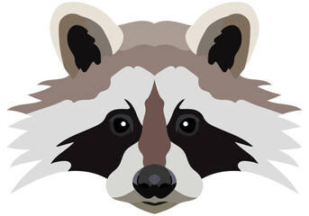 Raccoon face. Vector illustration Isolated on white background.
