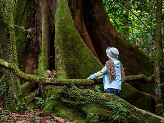 Rear view of woman looking at the buttress roots Shorea in Danum Valley Lahad Datu Sabah Borneo MalaysiaL 