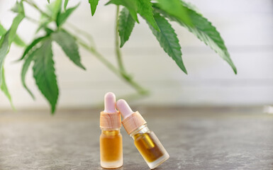 CBD and HHC oils, Medical marijuana products with Cannabis plant