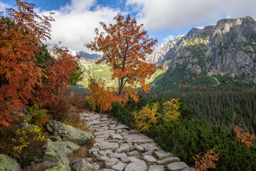 Autumn view of the High Tatras. Popradske Pleso area. Slovakia. - obrazy, fototapety, plakaty