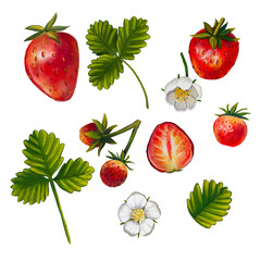 Set with red strawberries on a white background. Watercolor illustration of flowers and berries with leaves. Painted food, fruit. Summer berries. Suitable for prints, wallpapers, boxes, packages.