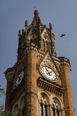 Fototapeta na wymiar Mumbai, Maharashtra, India December 31th 2022: The Rajabai Clock Tower in the campus of the University of Mumbai