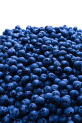 Fresh blueberry background. Texture blueberry berries close up.