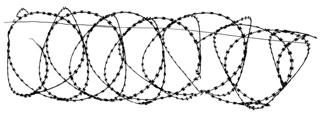 Coils of razor wire as used in detainment camps and prisons and borders is isolated and transparent to be used as a graphic resource. - obrazy, fototapety, plakaty
