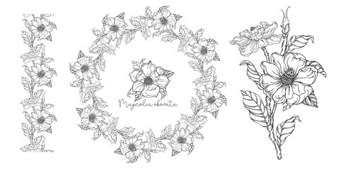 Black and white. White magnolia. Vector illustration. Botanical illustration. Flower Wreath
