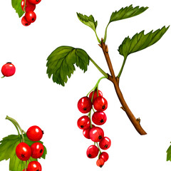 Pattern. Watercolor red ripe currant berries isolated on white background. Hand drawn botanical illustration. Clip art berry branches. Viva Magenta color.