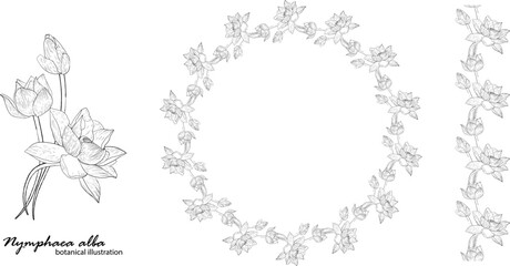 Floral vector wreath with lily flowers. Floral