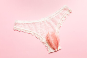 The concept of the reproductive organs of a woman, the vagina in the form of panties.