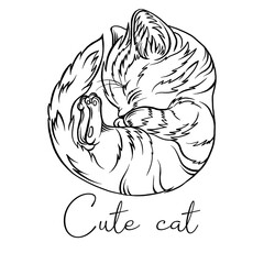 Cute graphic cat. A black and white cat. Cat