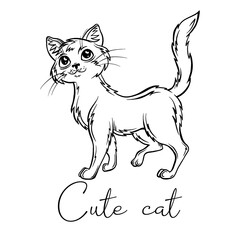 Cute graphic cat. A black and white cat. Cat
