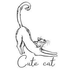 Cute graphic cat. A black and white cat. Cat