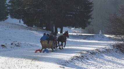 Fototapeta na wymiar Horse-drawn carriage move on winter alley, rustic tourism