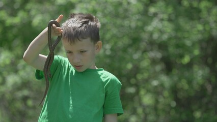 Portrait of child holding and looking at snake in green nature, curious boy