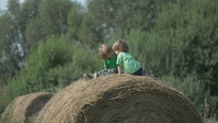 Little friends playing on a straw bale © MEDIAIMAG