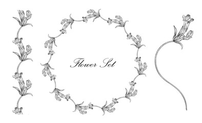 Floral set with black and white delicate flowers. Romantic set