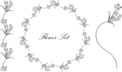 Floral set with black and white delicate flowers. Romantic set