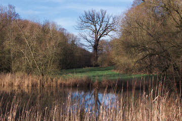 Beautiful view of Enghien park