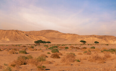 Fototapeta na wymiar Eastern desert .Wadi Meleha . .Red sea .Egypt.