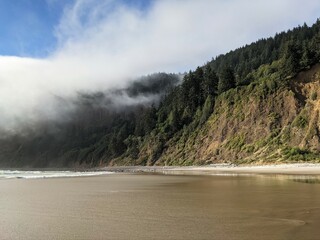 Fog blankets forested ridge as tide comes in. In the foreground a beach covered in water and translucent as the tide comes in. 