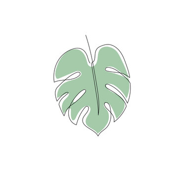 Line monstera leaf art. One continuous line art decorative monstera leaf draw. Editable stroke single tropical palm leaf element. Isolated vector illustration