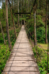hanging wooden bridge in the forest