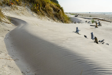 Wind-blown rippled sand texture in the sand dunes of the Baltic Sea coast, sand wave on the beach