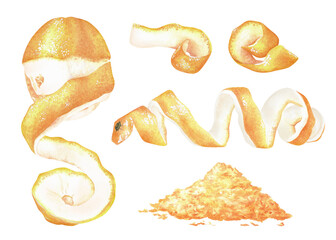 A set of lemon zest and peel. Watercolor illustration. Isolated on a white background. For your design packaging spices, scented candles, incense, decorating recipe sheets, cookbooks