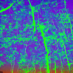 Fototapeta premium Abstract Neon Forest Background “Generative AI”