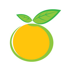 orange icon logo vector design template