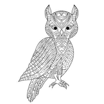 Hand drawn eagle owl. Coloring book page antistress with predatory bird for adults and children. Beautiful doodle cartoon animal. Vector outline sketch illustration isolated on white background