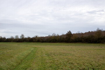 Bilder von einem Feldweg in Deutschland