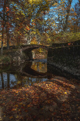 old arched bridge over the river in autumn forest park with colored fallen leaves on the ground