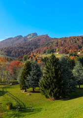 Fototapeta na wymiar European mountain range with trees with autumn colors