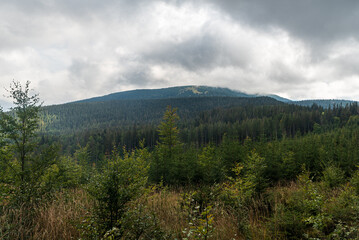 Beskid Zywiecki mountains in polish-slovakian borderlands wirh forest, Hala Miziowa meadow and Pilsko hill summit in clouds