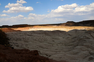 Petrified Forest Arizona