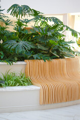 Wooden bench near the fresh plant area. Place for rest and relaxation. Growing plants at home, home gardening.