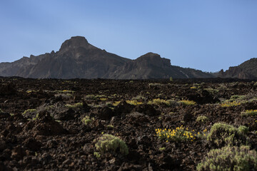 Nationalpark El Teide