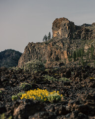 Nationalpark El Teide