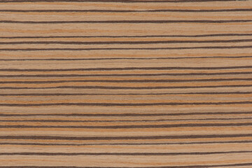 Zebra tree. Texture of brown wood with horizontal black stripes. African zebrano wood texture on macro. Photo in very high resolution.